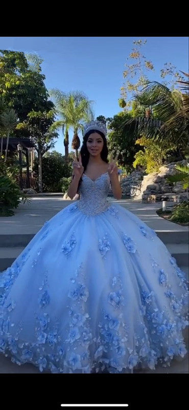 Blue Quinceanera Dresses Sweet 16 Dress 3D Flower Lace Applique Corset Back Y587